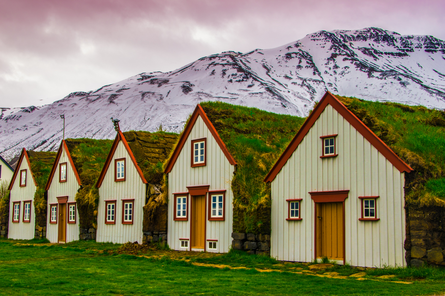 Houses by the side of the road in Iceland